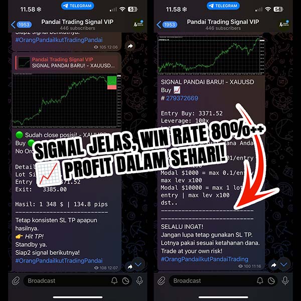 Bukti Profit Member 1