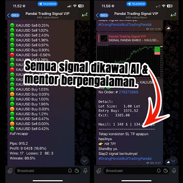 Bukti Profit Member 2
